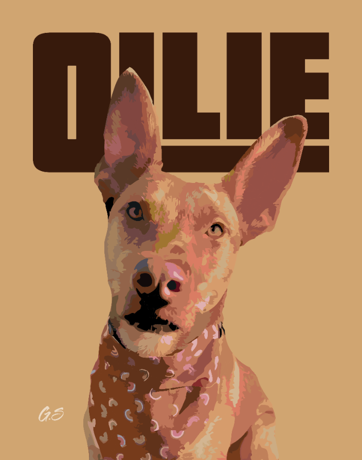 Ollie - Pet Portrait