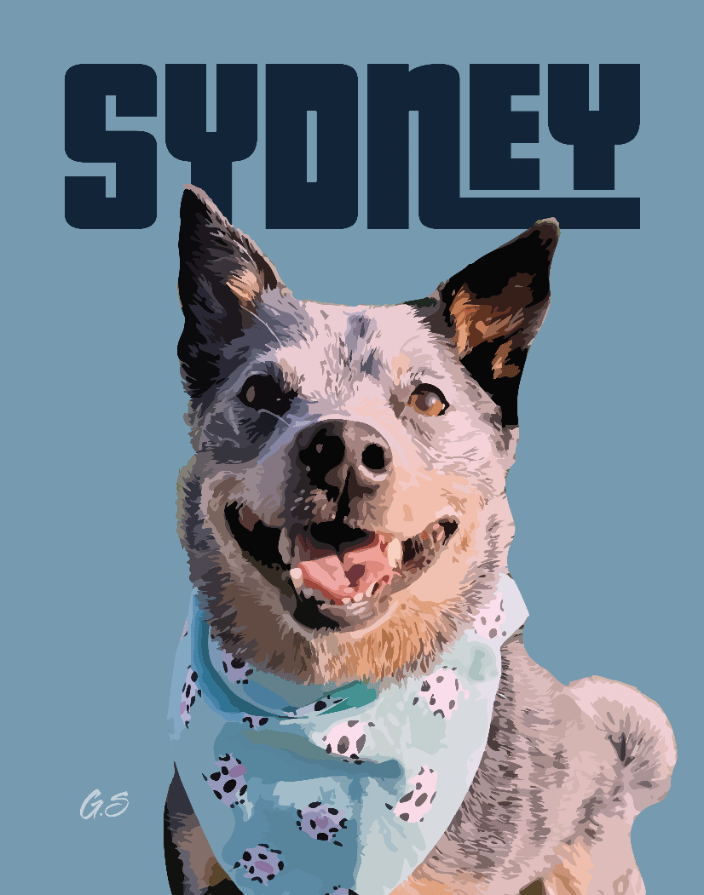 Sydney - Pet Portrait
