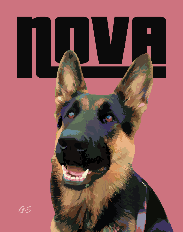 Nova - Pet Portrait
