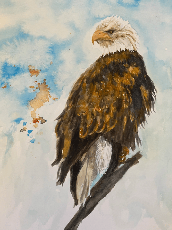 Watercolor painting of an eagle