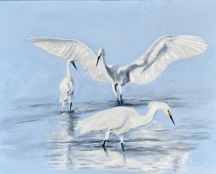 16x20 oil painting of 3 egrets