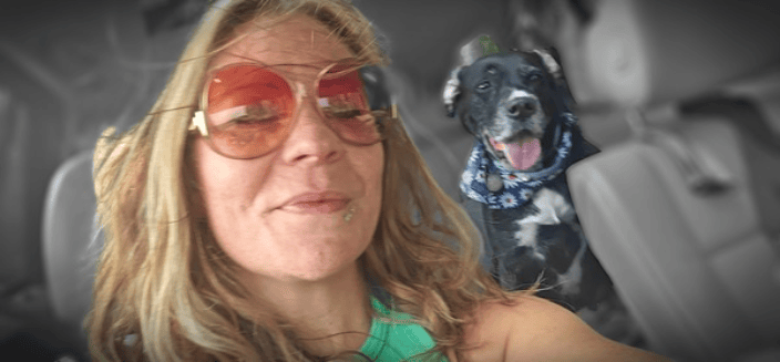 in home dog training Friendsville, MD