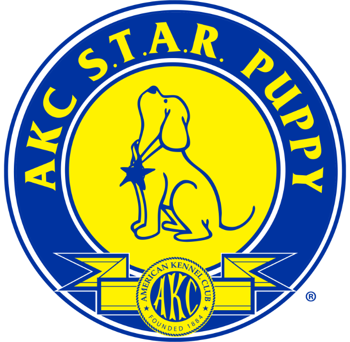 We train and test AKC