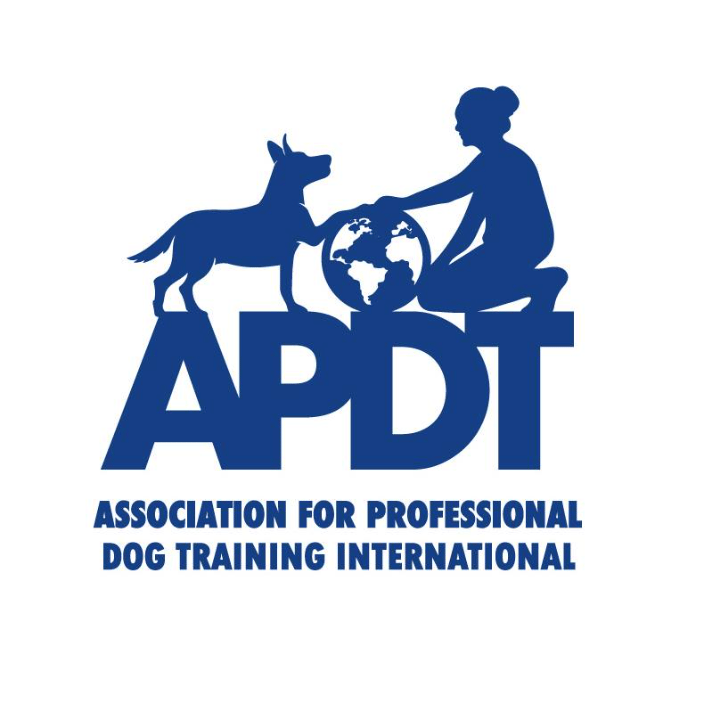 27 year professional trainer