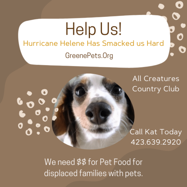 Our nonprofit needs help.