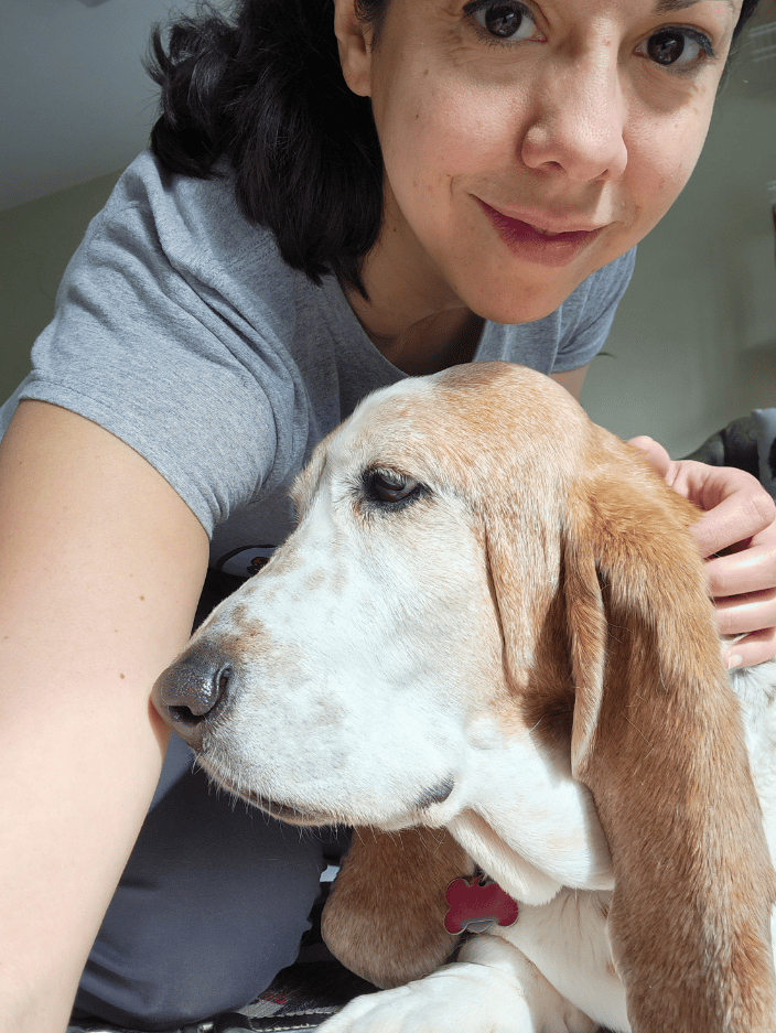A woman leans over a relaxed basset hound