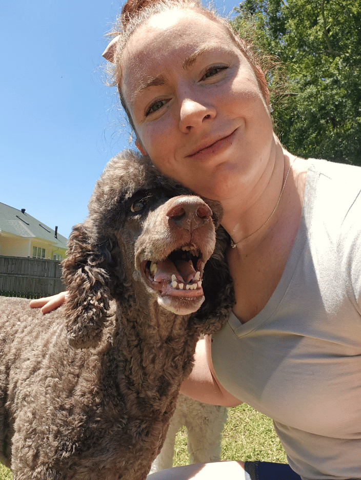 Dog Sitting 