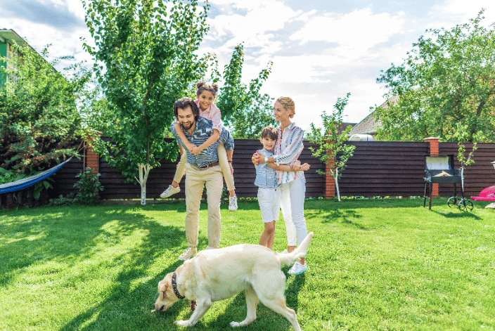Enjoy your yard without worrying about the poop!