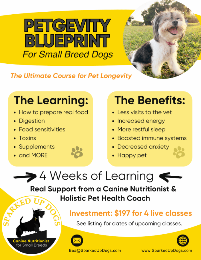 PetGevity Group Program for Small Breeds - SparkedUpDogs