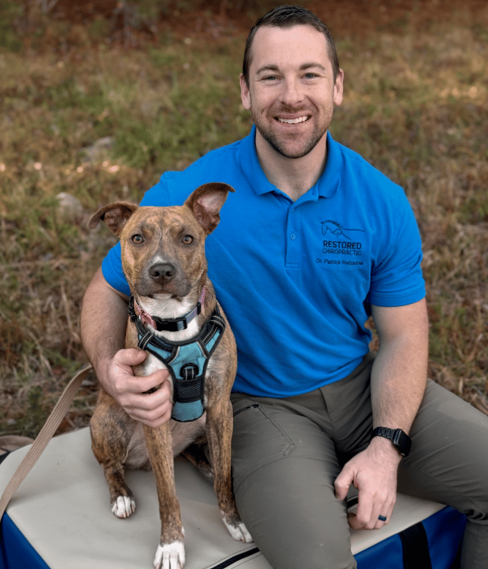 Animal Chiropractor Raleigh, NC