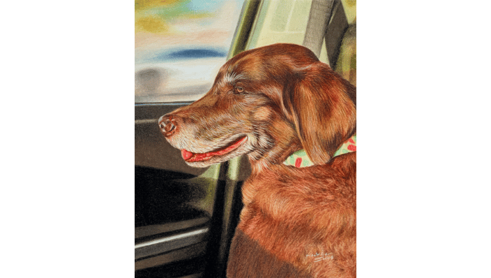 Zoey's Truck Ride