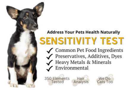 Pet Sensitivity Test