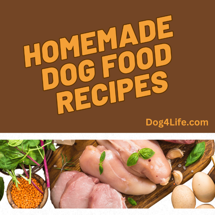 custom meal plans
