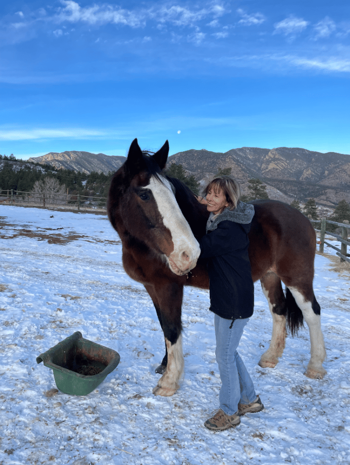 Keiser a rescue horse