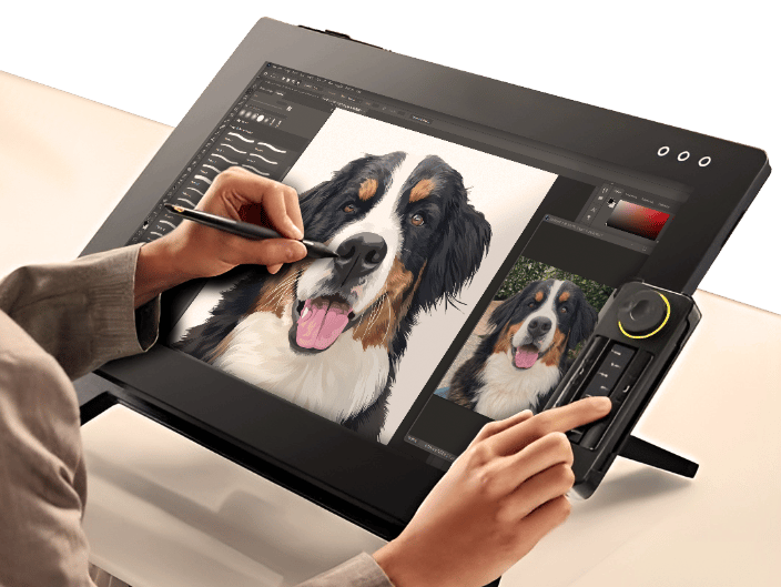 Digitally illustrated using pen tablet and drawing pen.