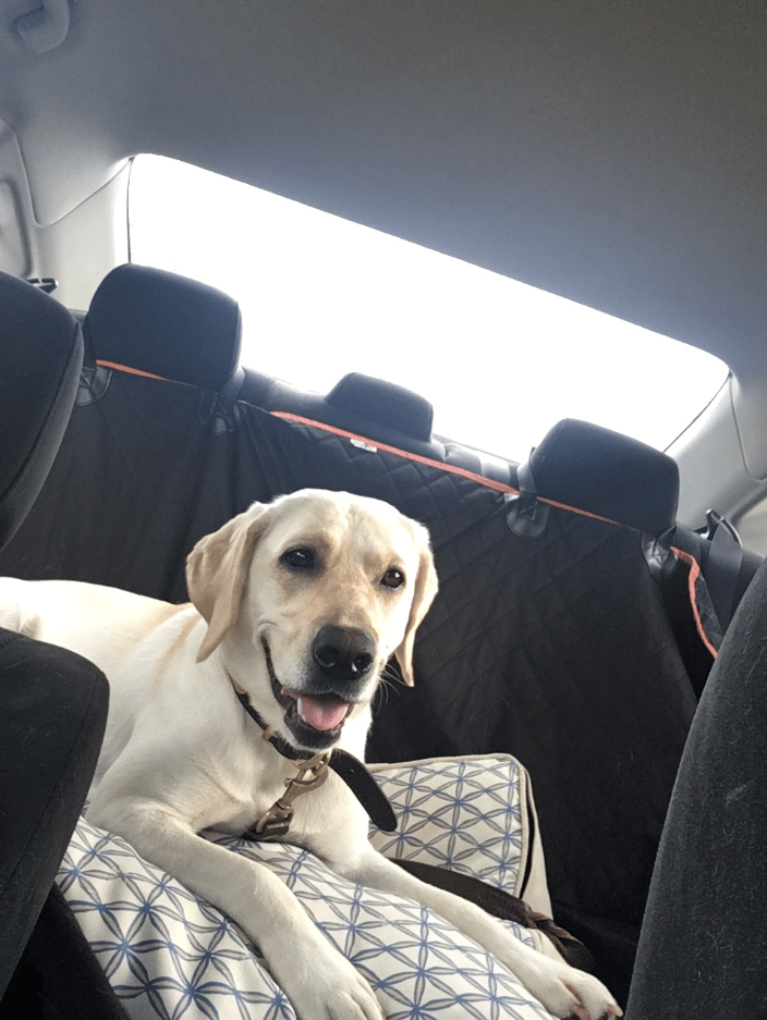 We make sure they are comfortable