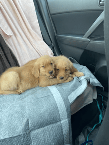 Love to see them happy