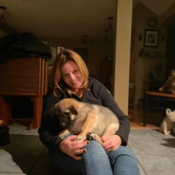 Me meeting a German Shepherd X puppy heading to his new home.