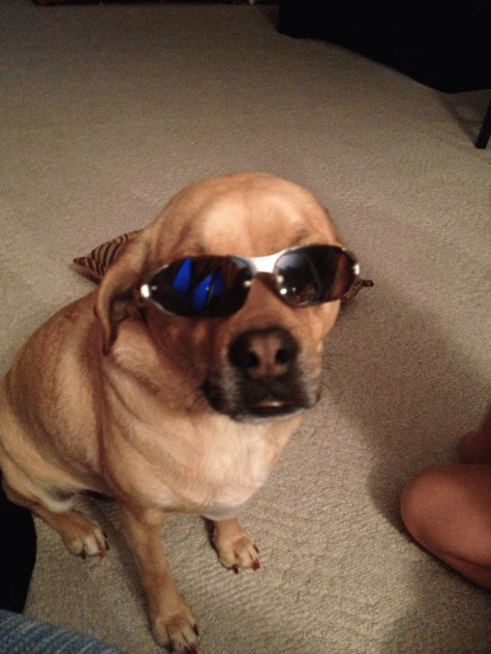 Melmin the Puggle