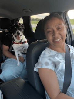 Wishbone - IN Transport