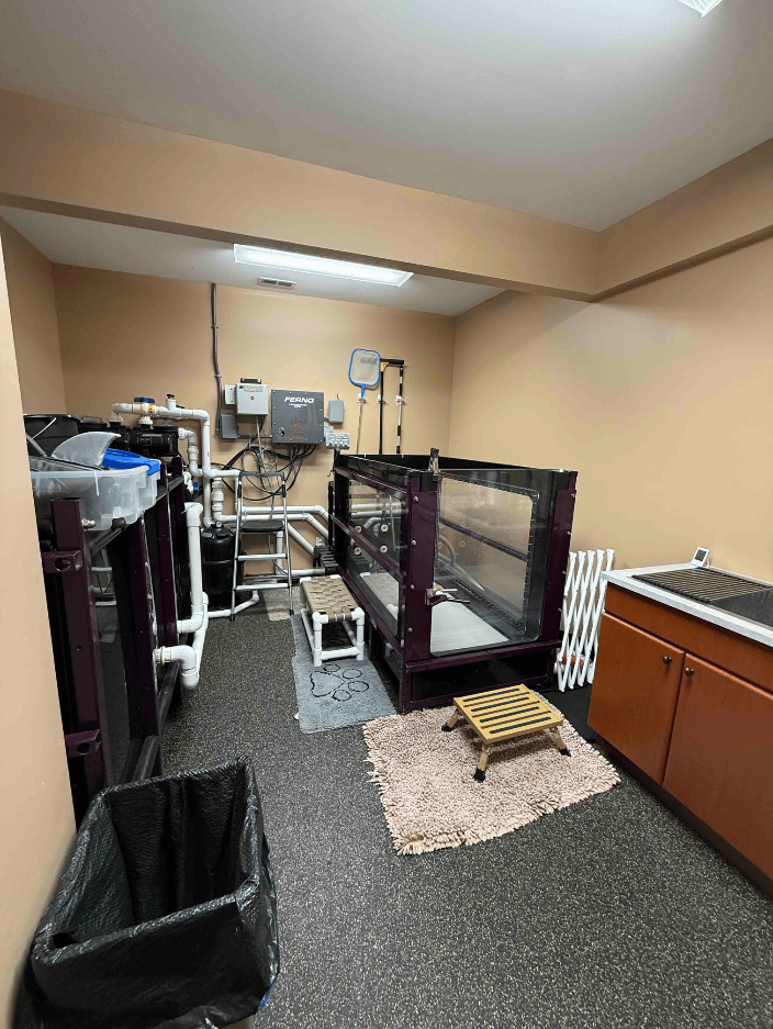 Underwater Treadmill Room