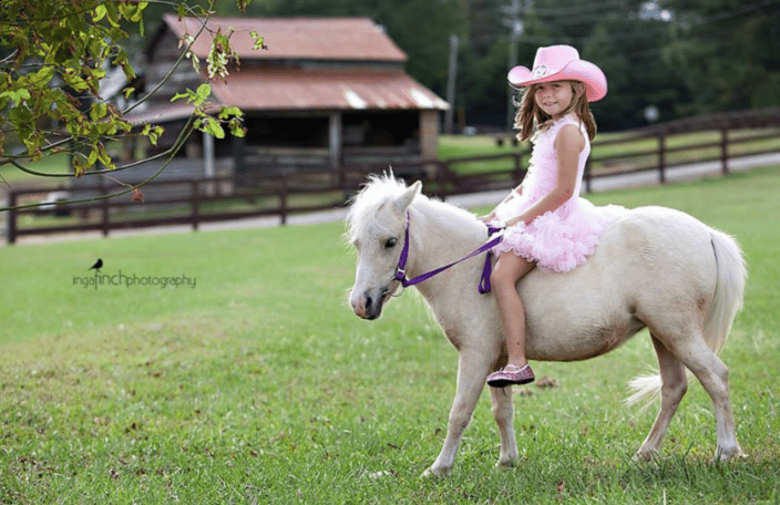Pony Rides