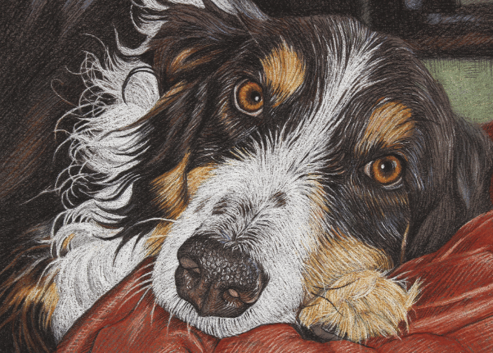 "Toby" Pastel 5x7"
