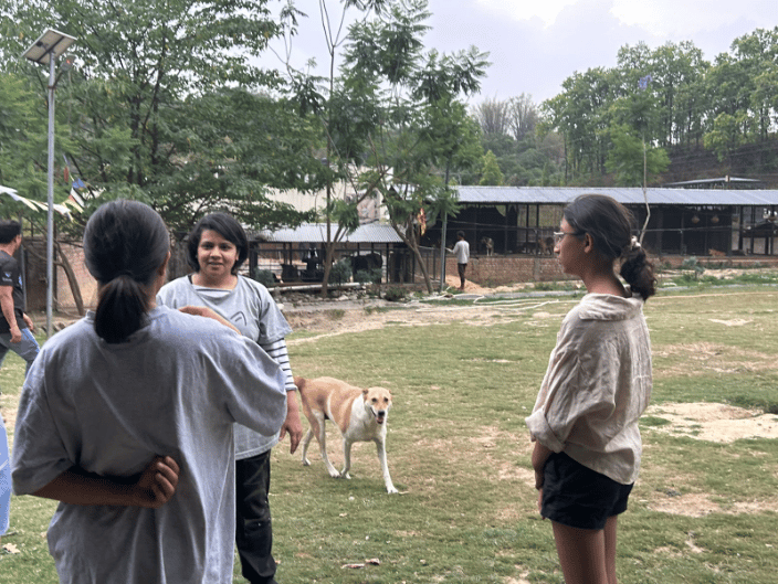 Training at the shelter