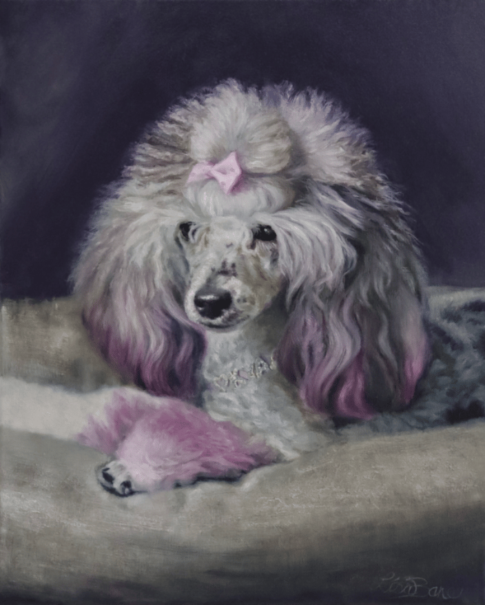 Poodle oil portrait painting