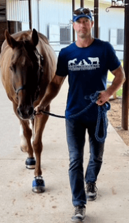 Self & Equine