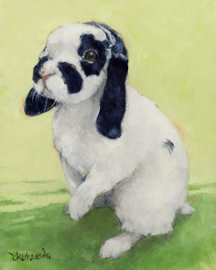 Lop Rabbit