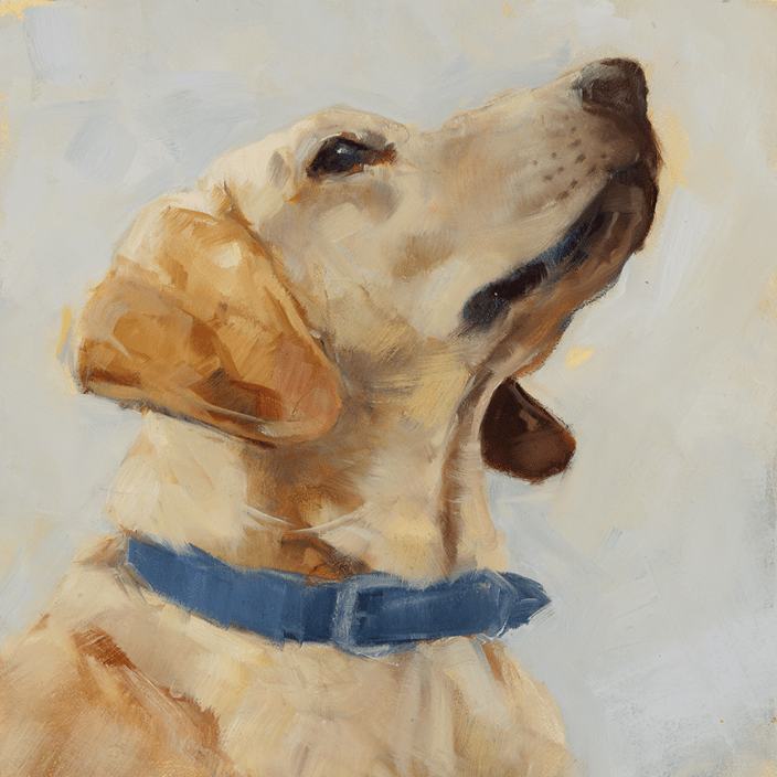 Golden Lab