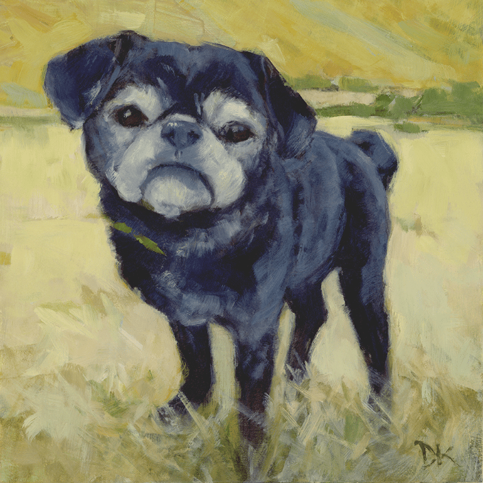 Black Pug