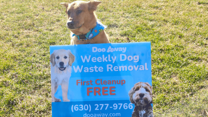 Friendly dog with our Doo Away yard sign
