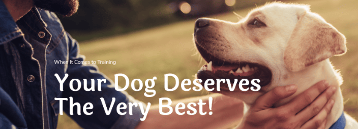 Dog Trainer DFW