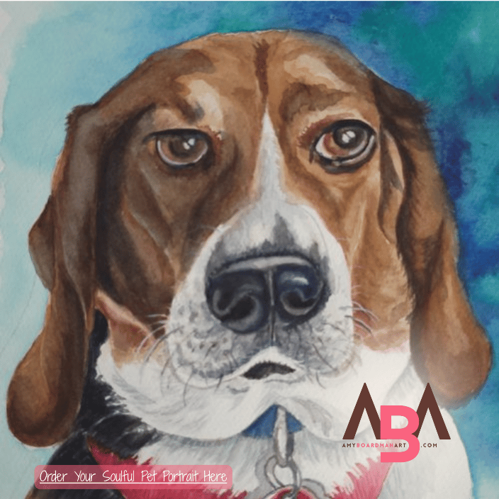 pet portrait of a dog