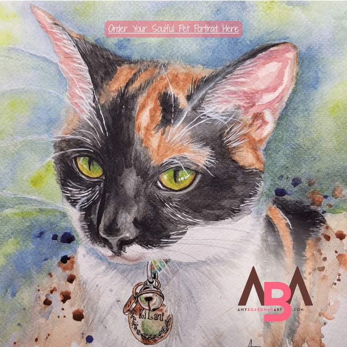 cat pet portrait