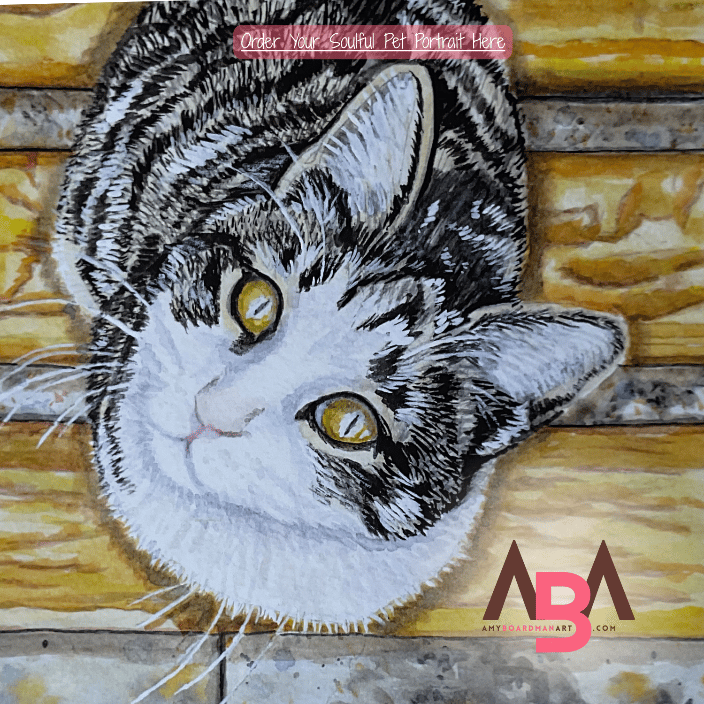 another cat pet portrait
