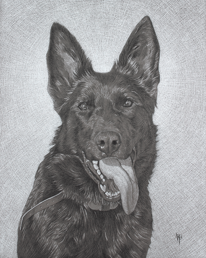 Jet 16x20"