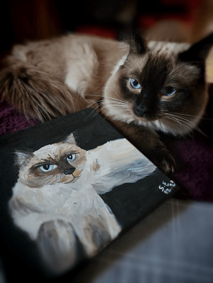 Louie the kitten with his gouache pet portrait