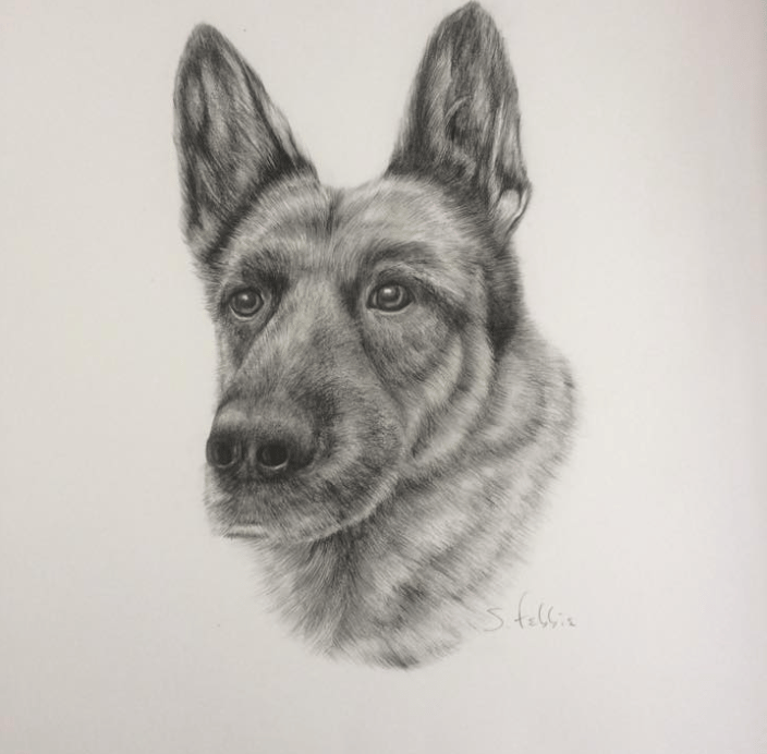 Pet Portrait Artist Vermont