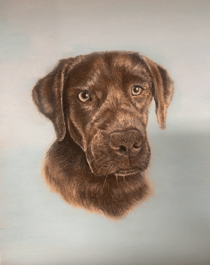 Custom Pet Portrait in Pastel
