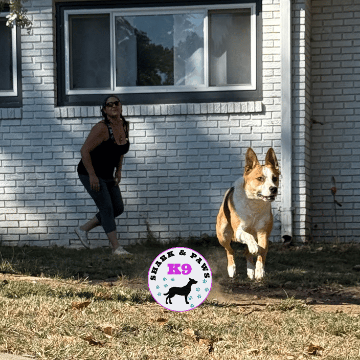 Seek games with Freyja