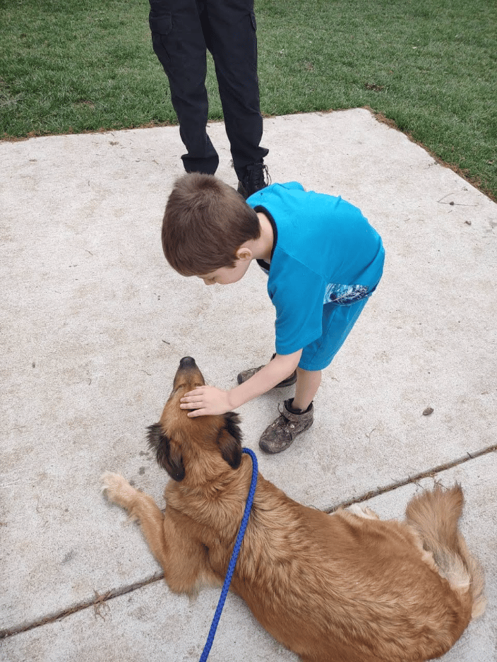 Teach kids & dogs to co-exist