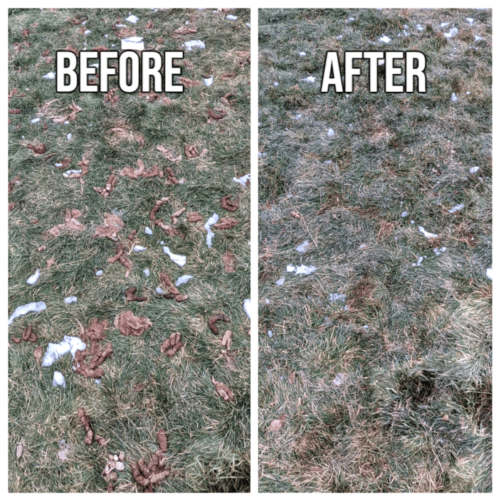 Before and After clean up picture