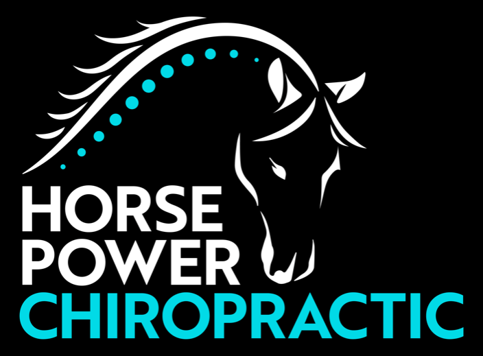 Horse Power Chiropractic Logo