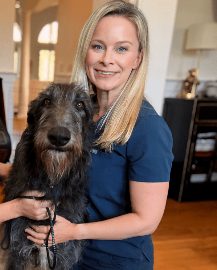Animal Chiropractic Summerville South Carolina