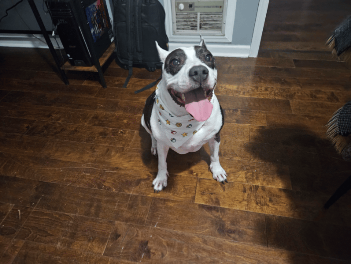 LadyCoco