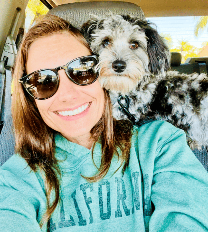 Pet Transport Vero Beach Florida