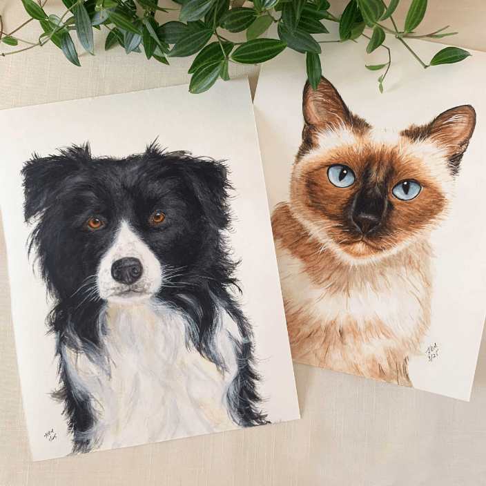 Pet Portraits On White Background